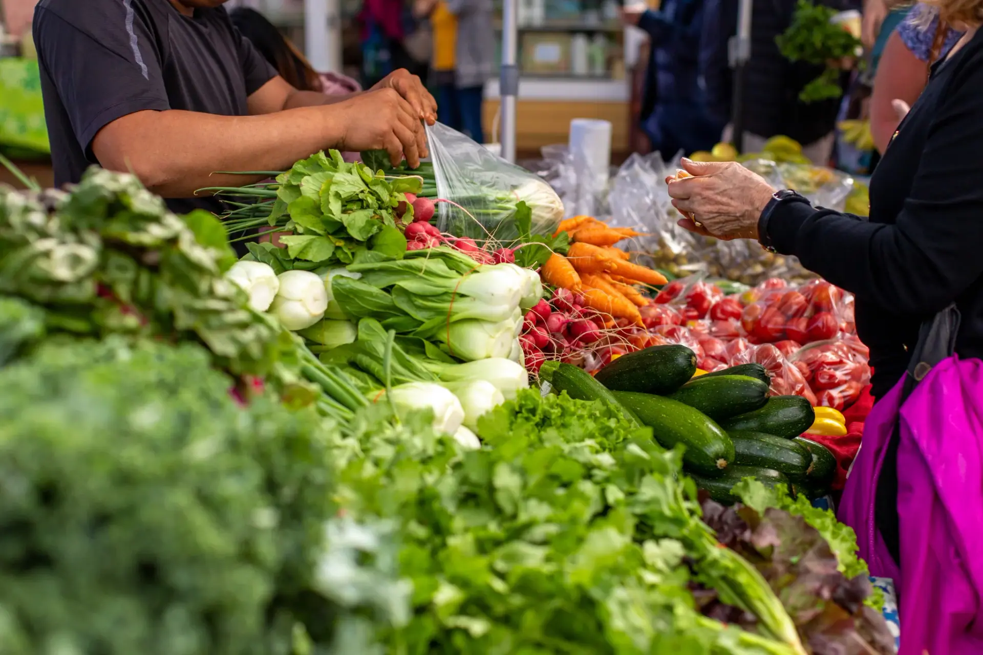 Local markets and shopping