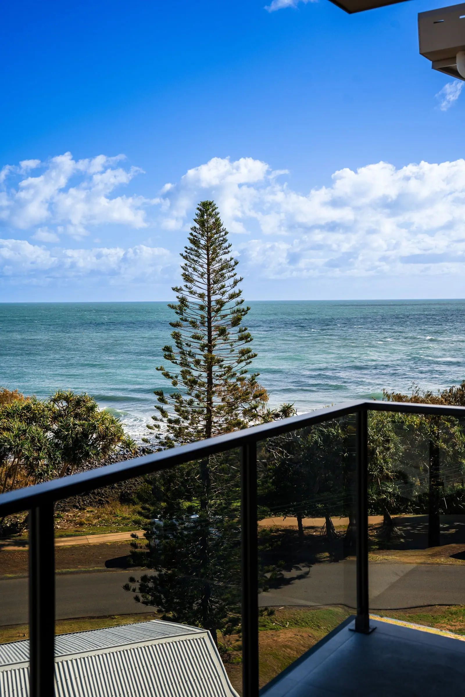 The sea from the balcony, through the Esplanade's Norfolk pines
